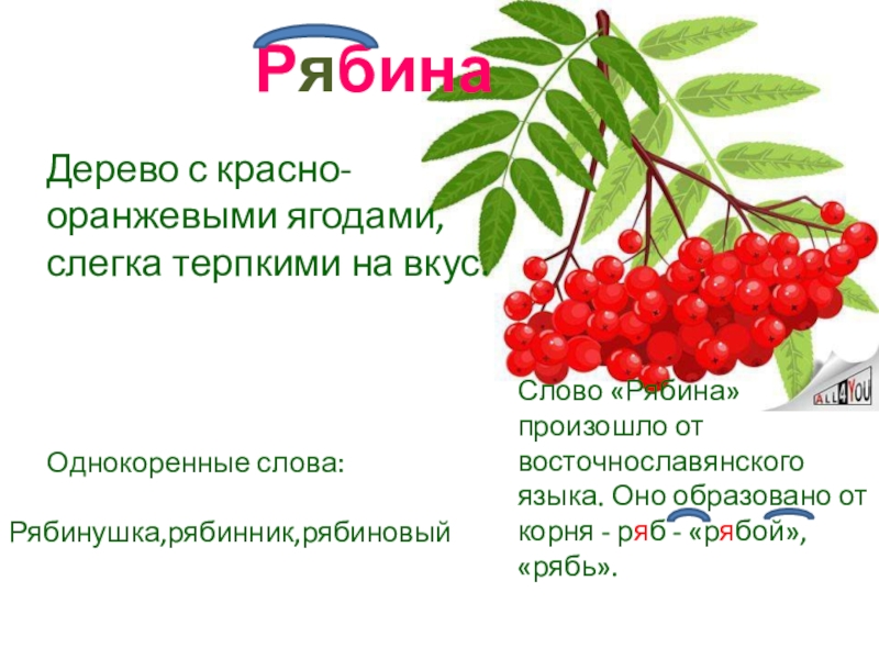 Карточки: безударные гласные в корне слова 2 класс – наумёнок
