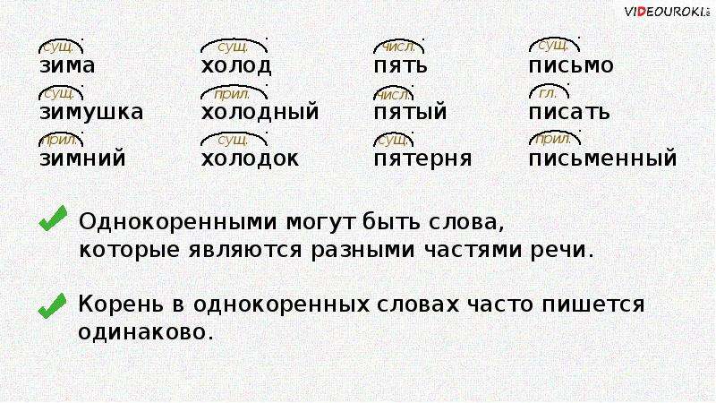 Родственные и однокоренные слова в чем разница. родственные слова в русском языке