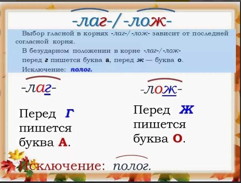 Однокоренные слова в русском языке — примеры и определение