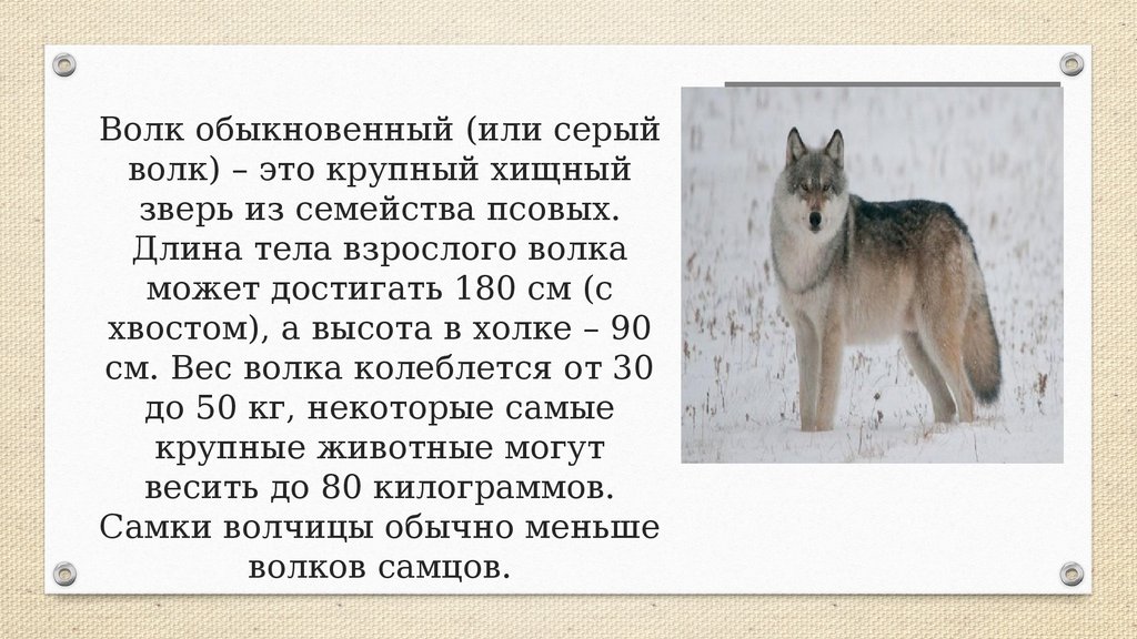 Как правильно поставить ударение в словах свекла и щавель.