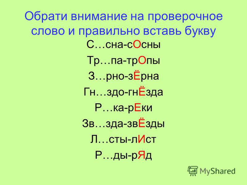 Озимь - это что такое? происхождение и правописание слова  — 24симба