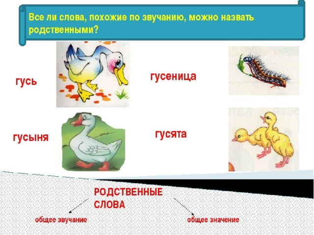Что такое родственные слова? примеры - tarologiay.ru