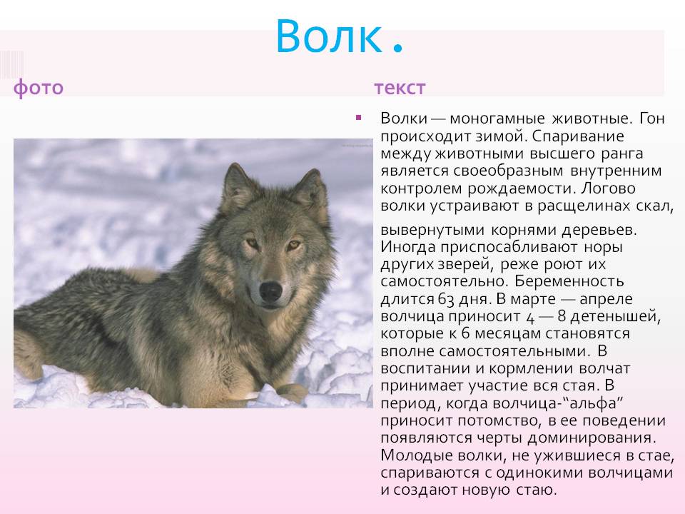 Правильное ударение в словах