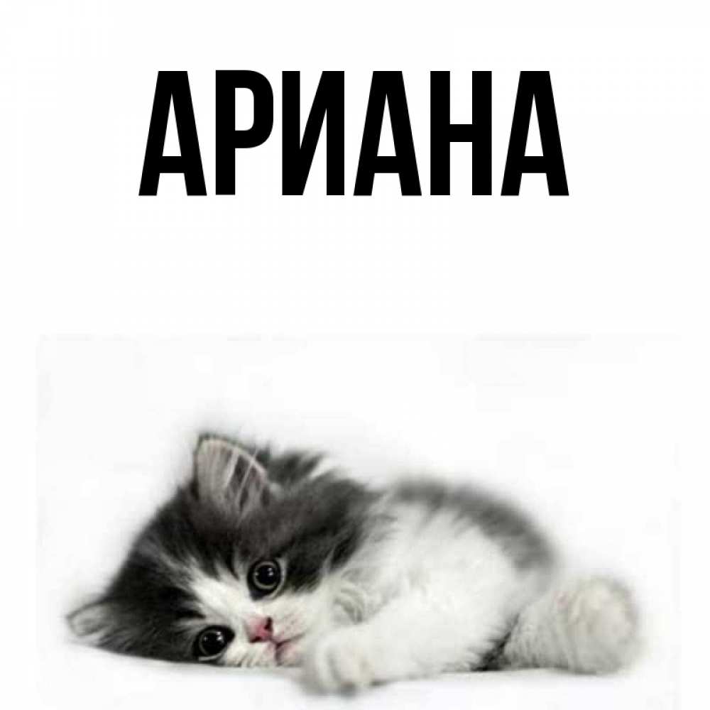 Имя ариан – значение, характер, совместимость и многое другое
