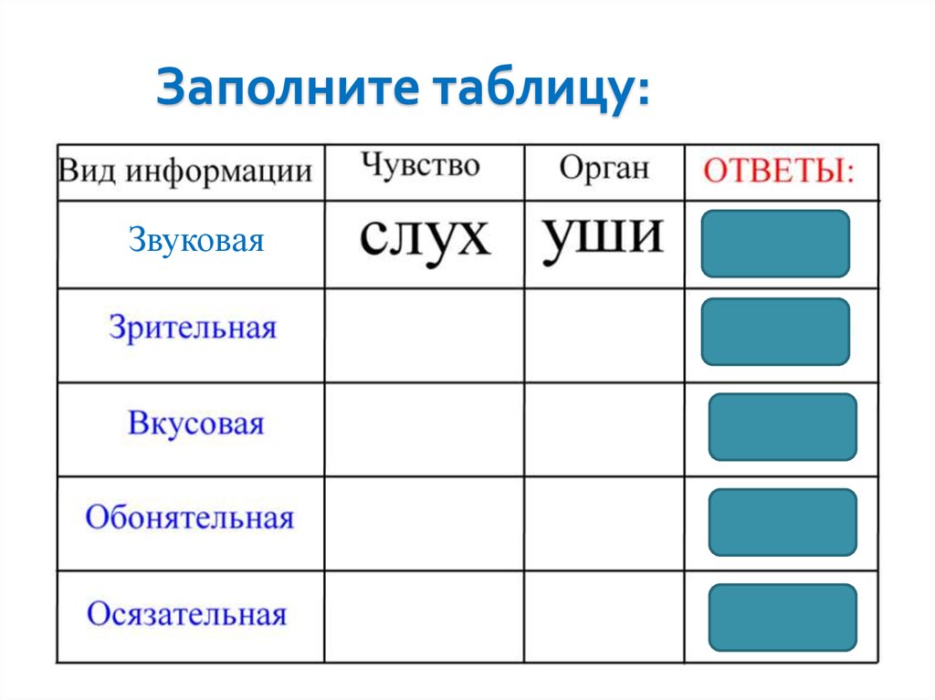 Морфологический разбор слов — как правильно делать?