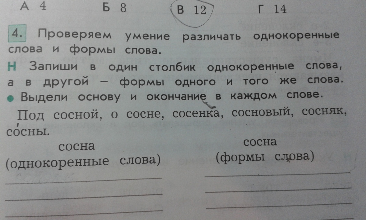 Сосна — однокоренные слова, родственные и проверочные слова