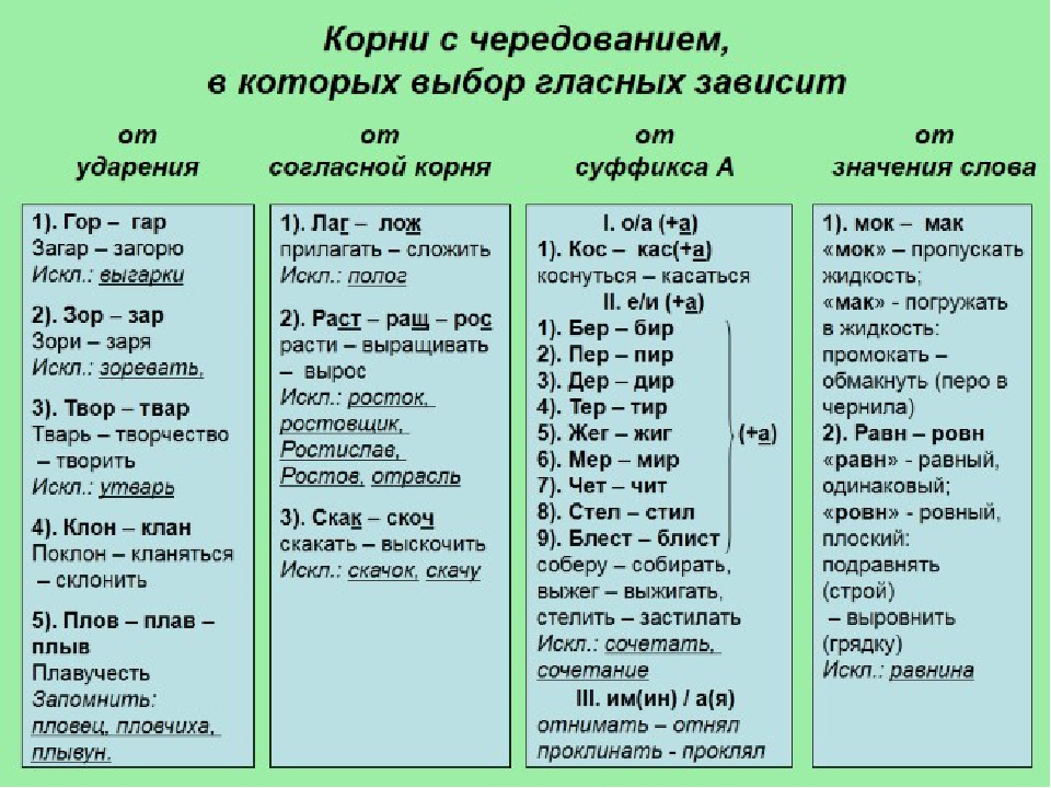 Корень слова в русском языке - русский язык по таблицам
