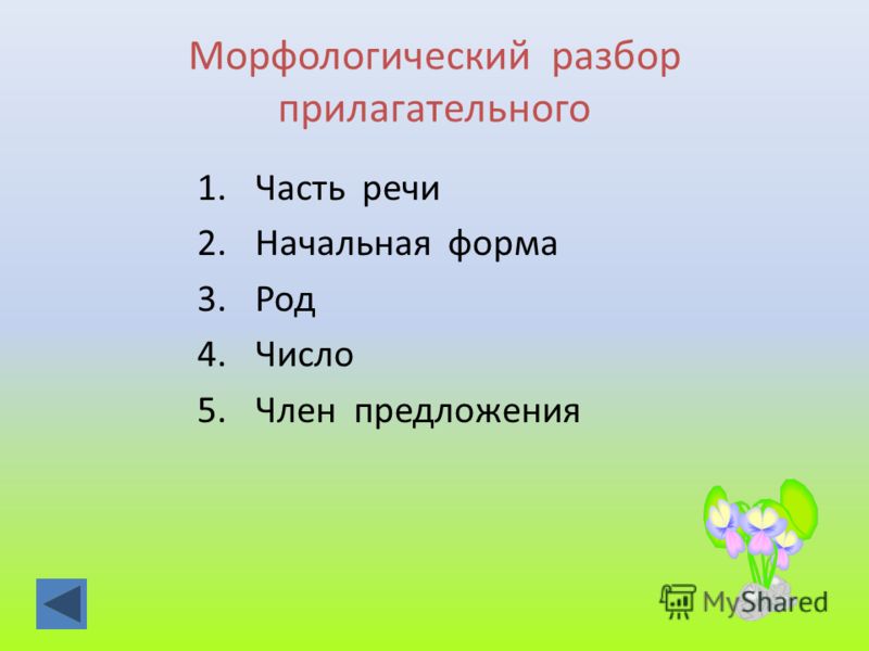 Особенности морфологического разбора