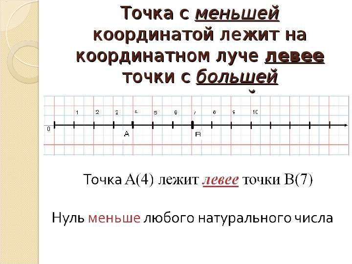 Таблица морфологических признаков.