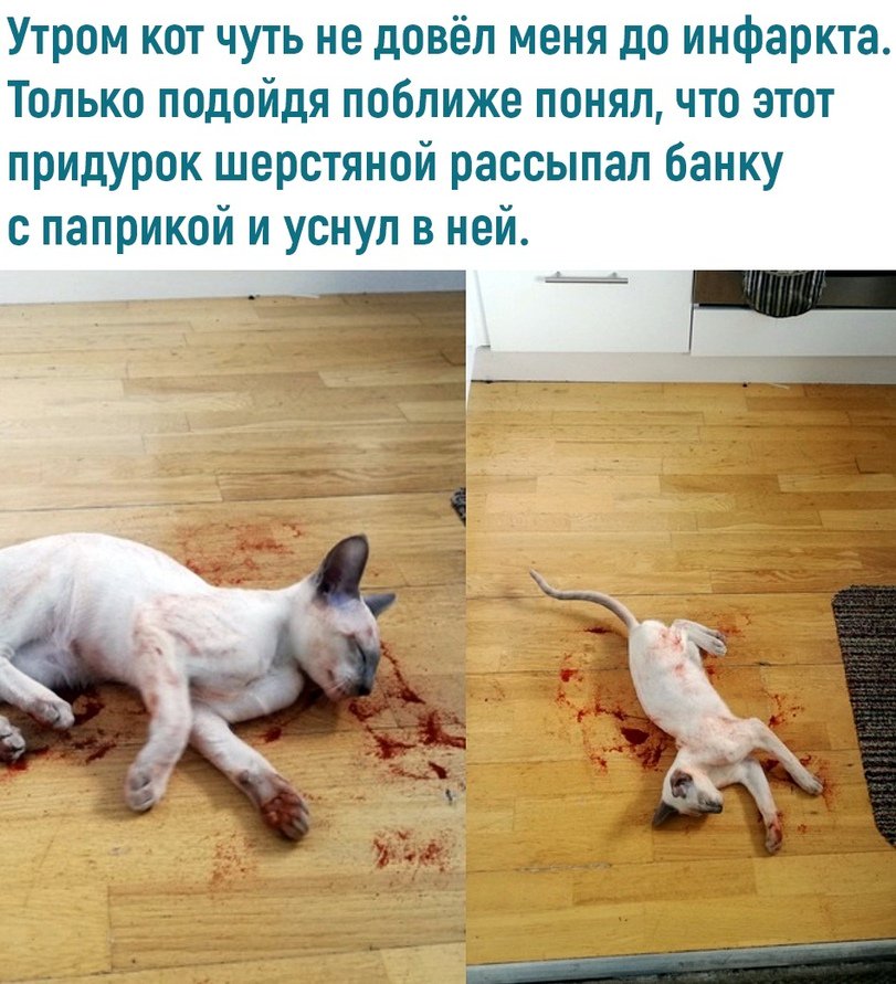 Что такое морфологический разбор слова: пример на всех частях речи