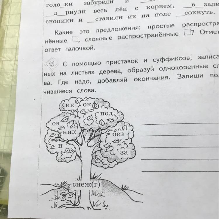 Какие есть однокоренные слова к слову корень