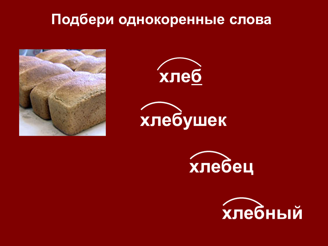 Однокоренные слова в русском языке — примеры и определение