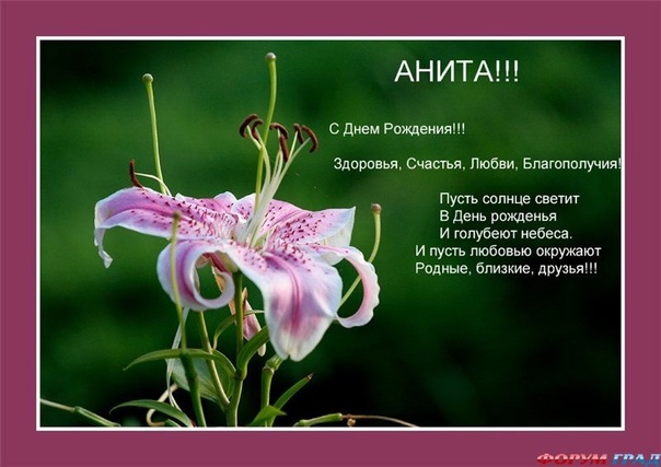 Имя анетта – значение, характер, совместимость и многое другое