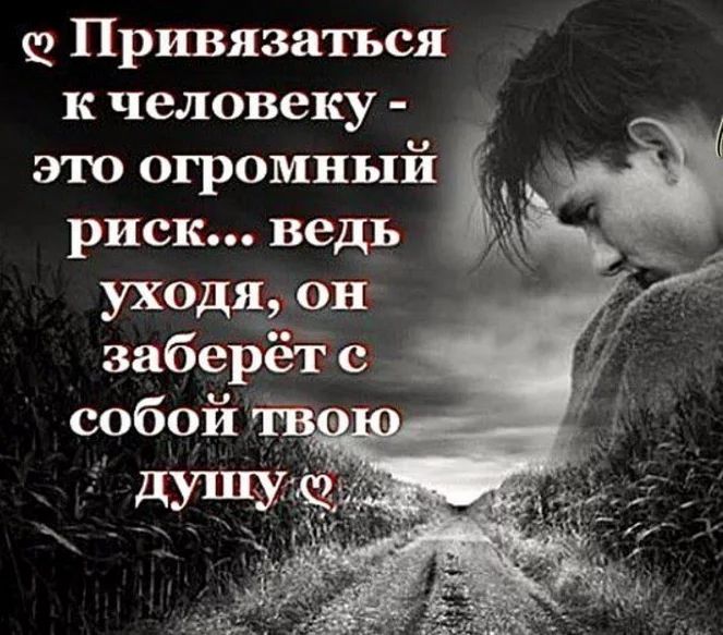 Морфологический разбор слова