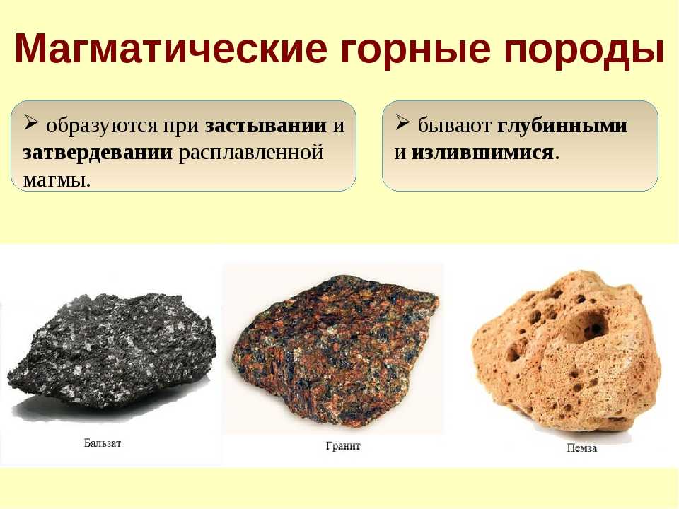 Склонение по падежам слов в русском языке - правила и типы