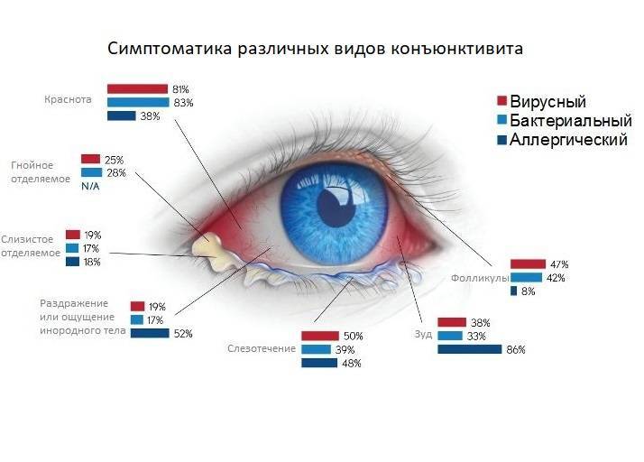 Гибискус ударение в слове