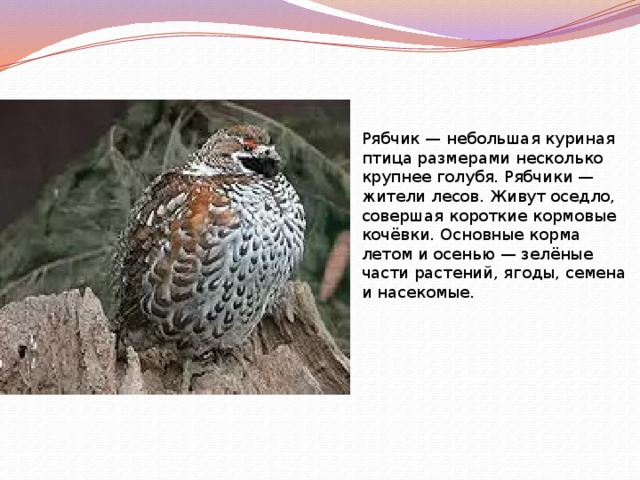Родственные слова (однокоренные). давайте разберёмся!