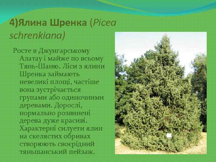 Имя эллина: значение, происхождение, характер