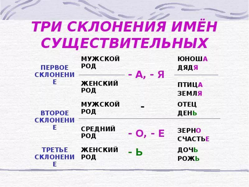 Склонение имен существительных: правила и примеры