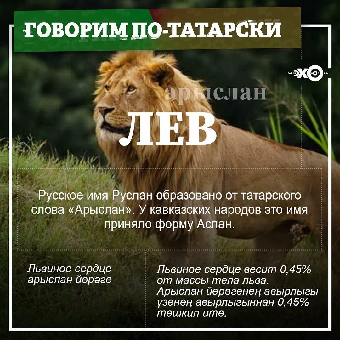 Значение имени - имена народов мира