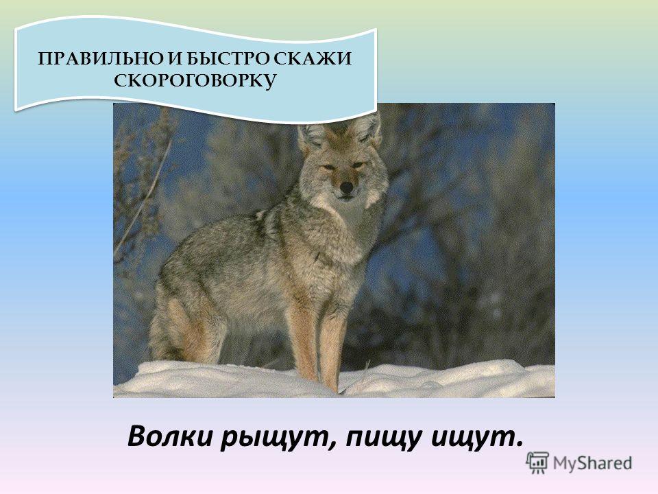 Как определить стихотворный размер произведения: определение размера стиха с примерами