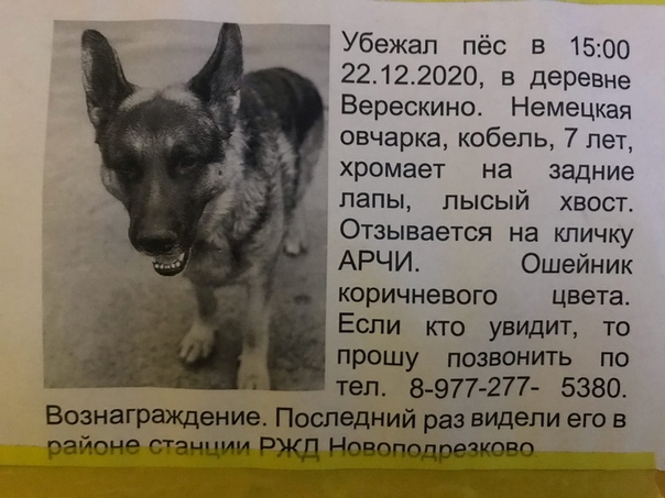 Галина - значение имени, происхождение, характеристики, гороскоп :: инфониак