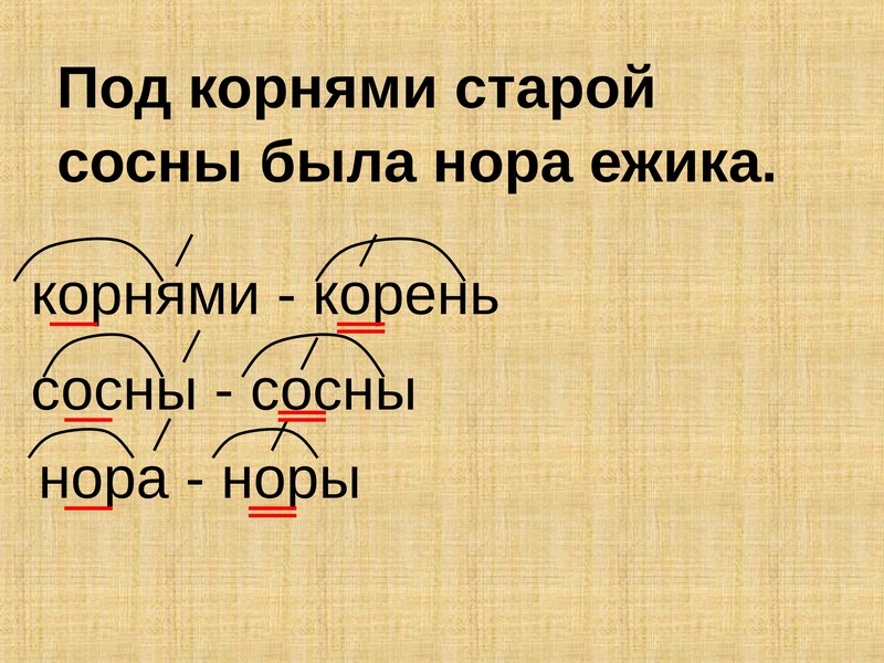 Что такое родственные слова? примеры - tarologiay.ru