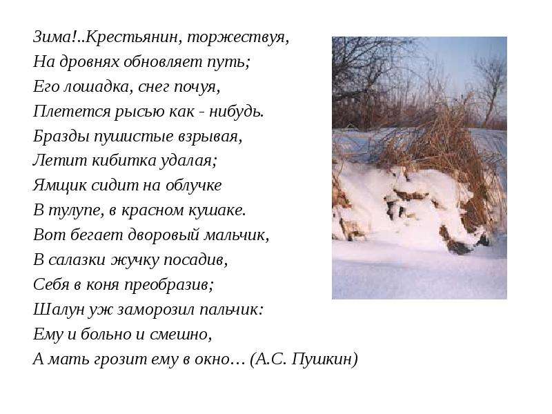 Стихотворение пушкина крестьянин торжествуя
