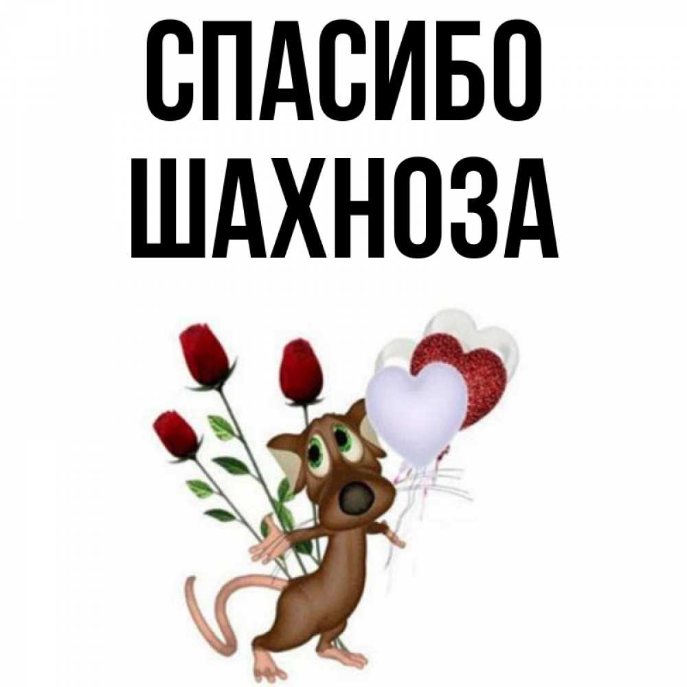 Шахноза — значение имени