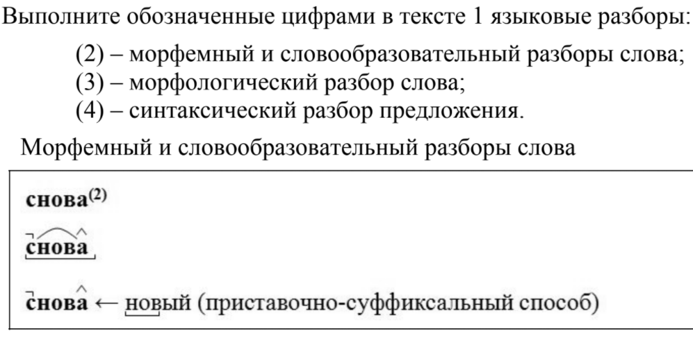 Что такое морфологический разбор слова: пример на всех частях речи