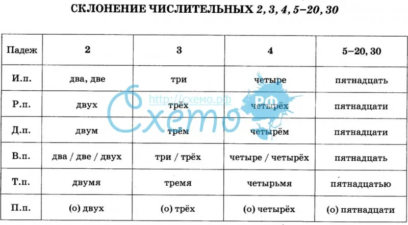 Схема склонение числительных