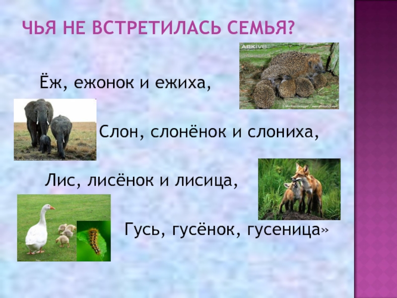 Родственные и однокоренные слова в чем разница. родственные слова в русском языке