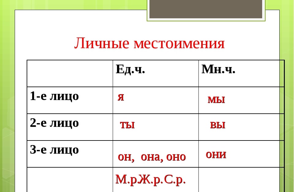 Склонение имен существительных по падежам в русском языке