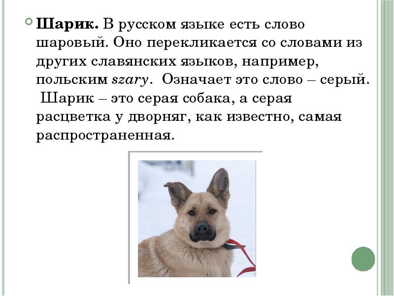 Фиби что означает имя