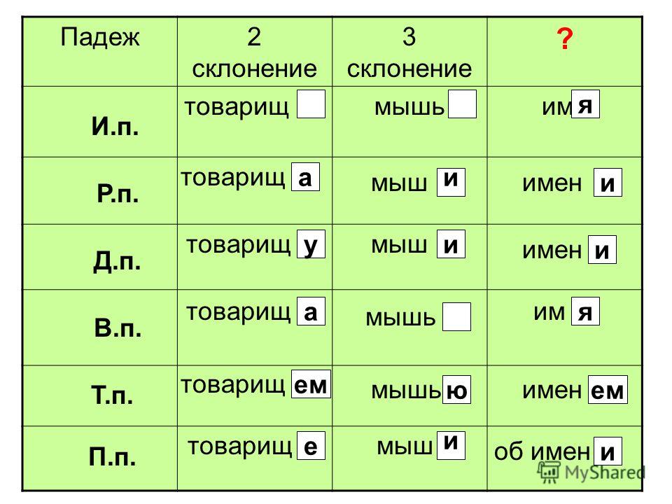 Просклонять существительное 2 склонения по падежам