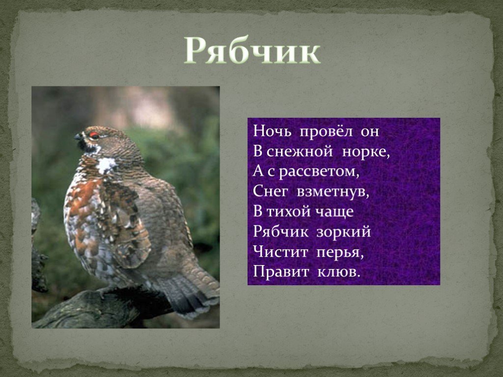 Как правильно пишется рябчик или рябчик