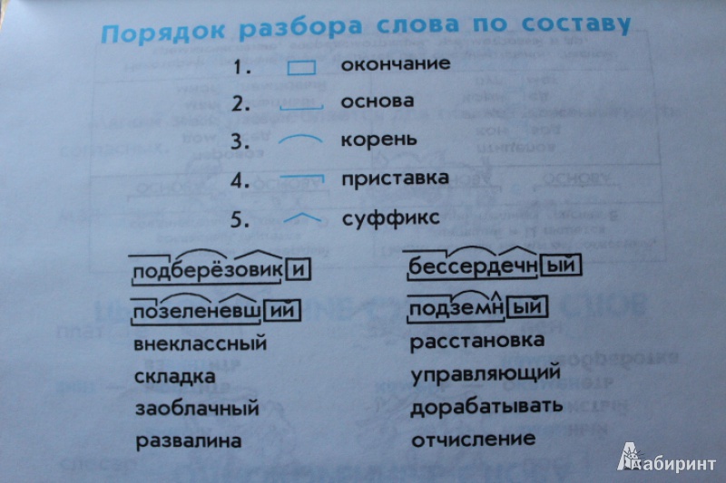 Разбор слова «подберёзовик»