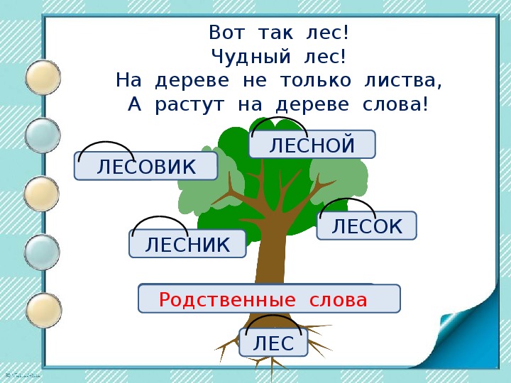 Однокоренные слова