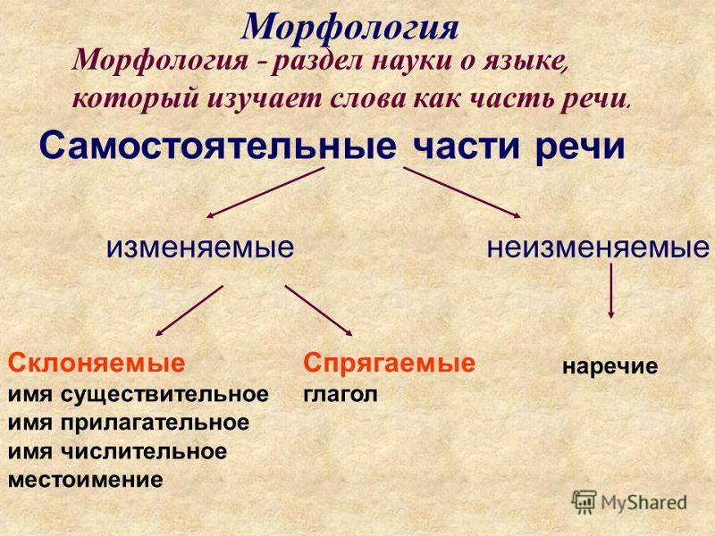 Склонение частей речи (таблица)