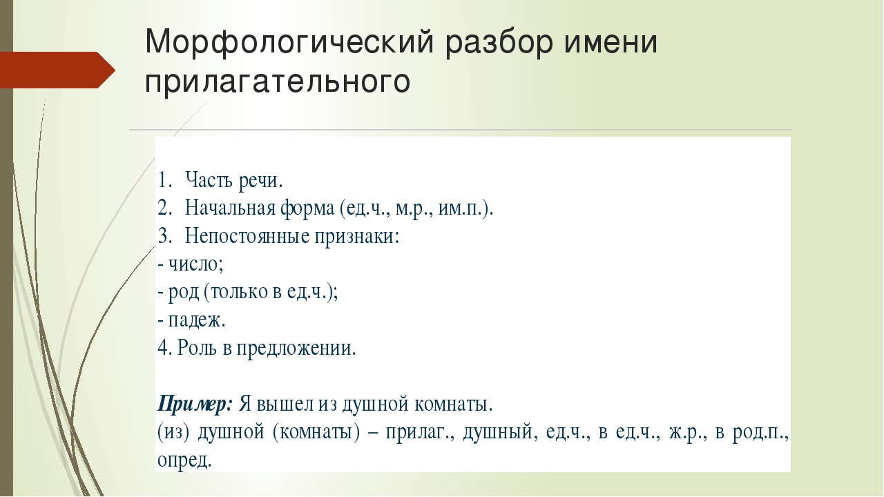 Морфология. морфологический разбор слова 7 класс онлайн-подготовка на ростелеком лицей | тренажеры и разбор заданий