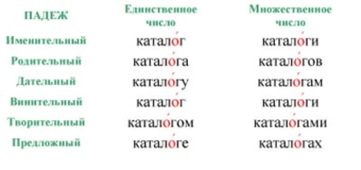 Как правильно ставить ударение в словах: простые правила его постановки в русском языке