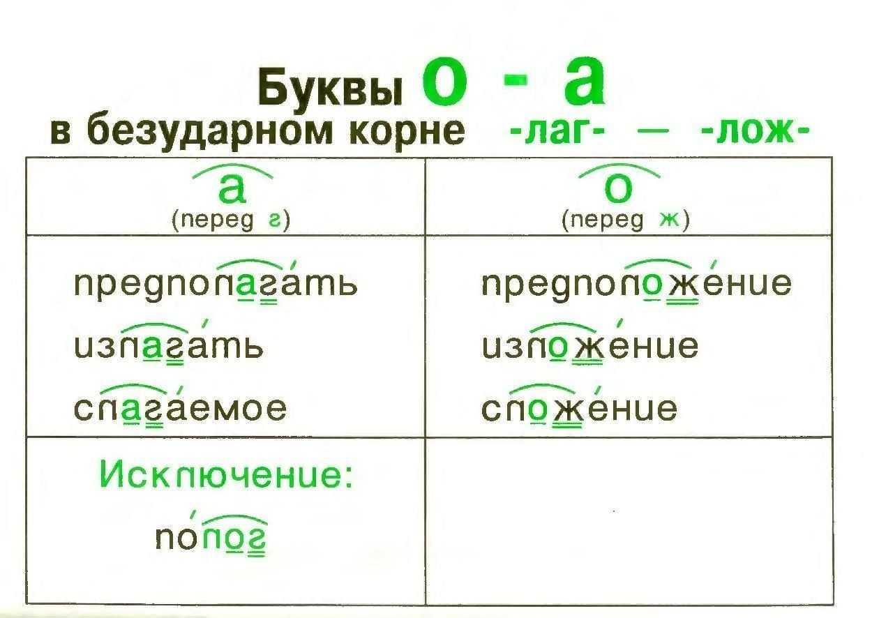 Родственные слова (однокоренные). давайте разберёмся!