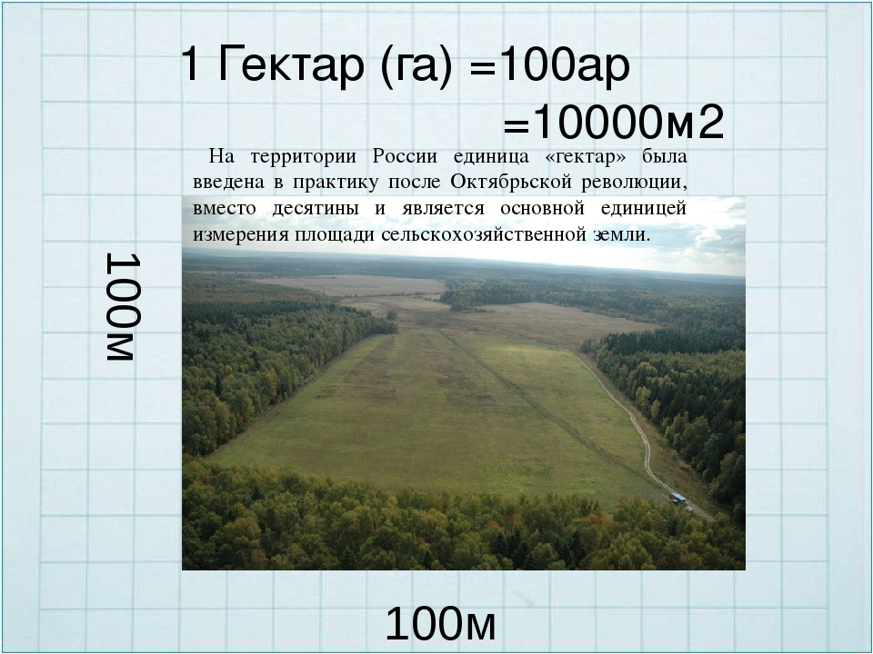 Родительный падеж существительных множественного числа - tarologiay.ru